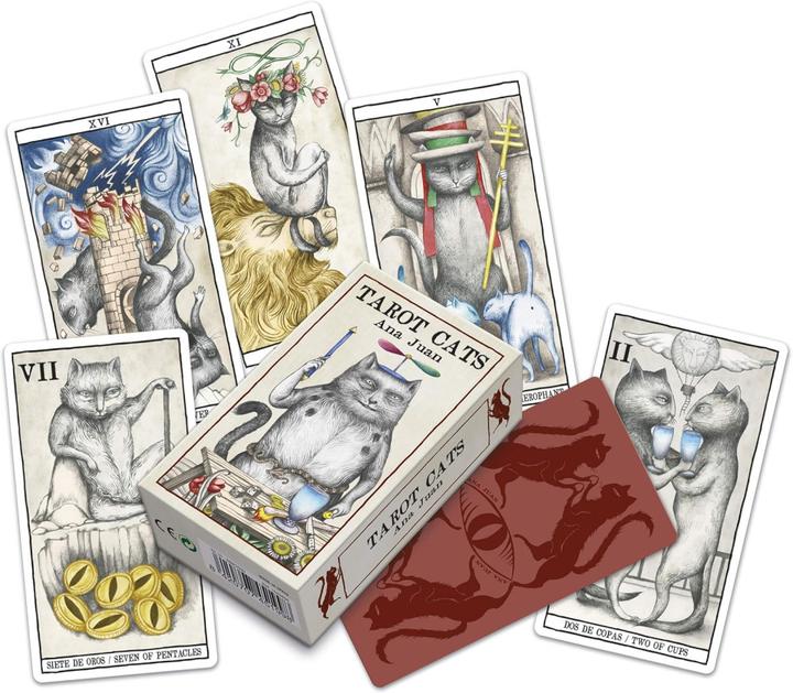 Actual product image Bicycle Tarot -Cat Cards