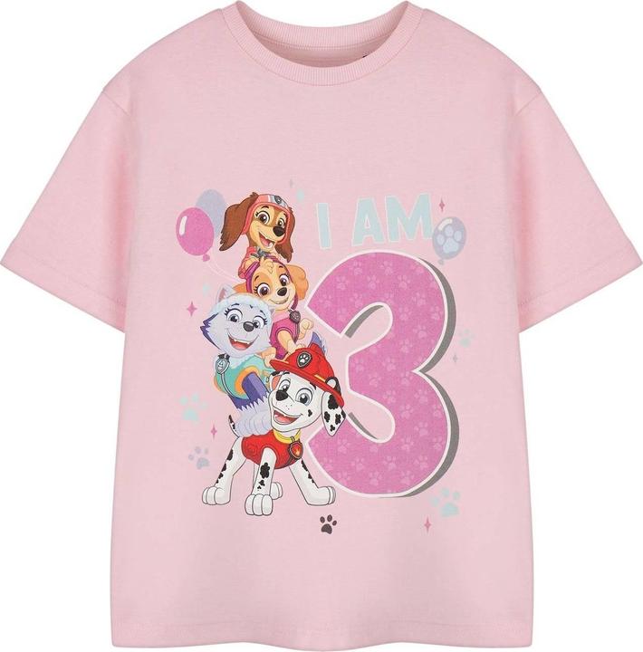 Actual product image Paw Patrol Girls Short-Sleeved Birthday T-Shirt (104)
