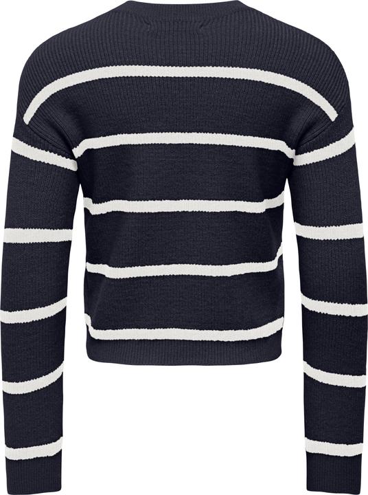 Image du produit Only Kmgfranca Life Short Ls Stripe Knt Noos (128)