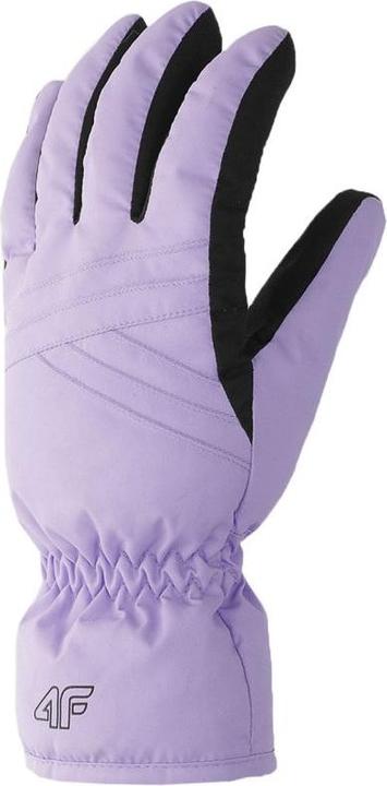 Produktbild 4F Skihandschuhe (XL)