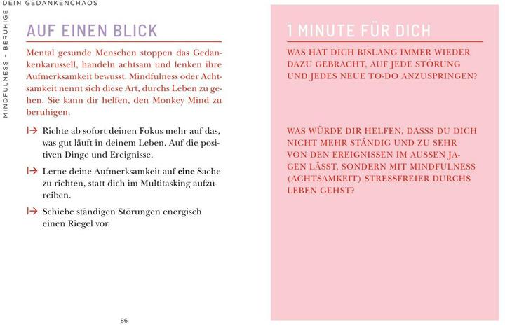 Produktbild Die 1-Minuten-Strategie gegen mentale Erschöpfung (Deutsch, Cordula Nussbaum, 2025)