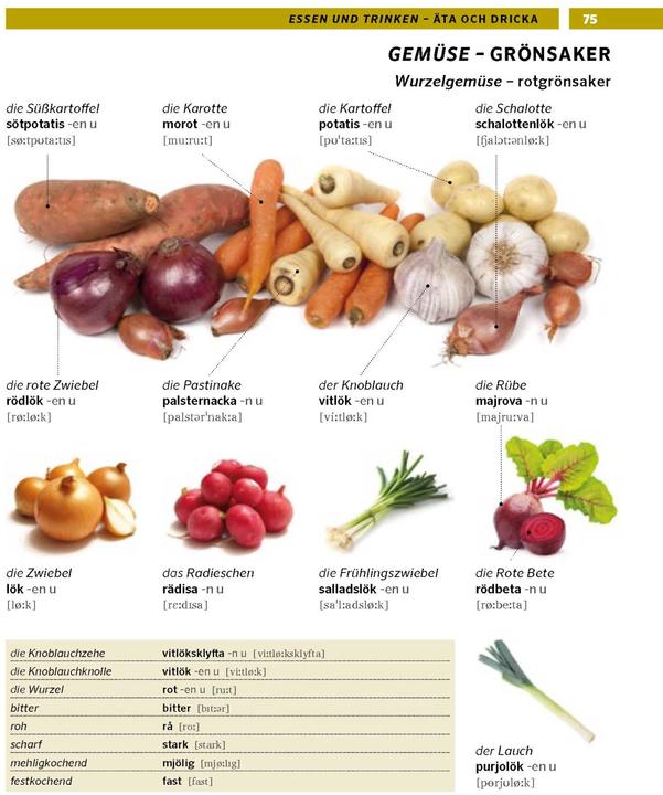 Produktbild Bildwörterbuch Schwedisch (Deutsch, Schwedisch, 2023)