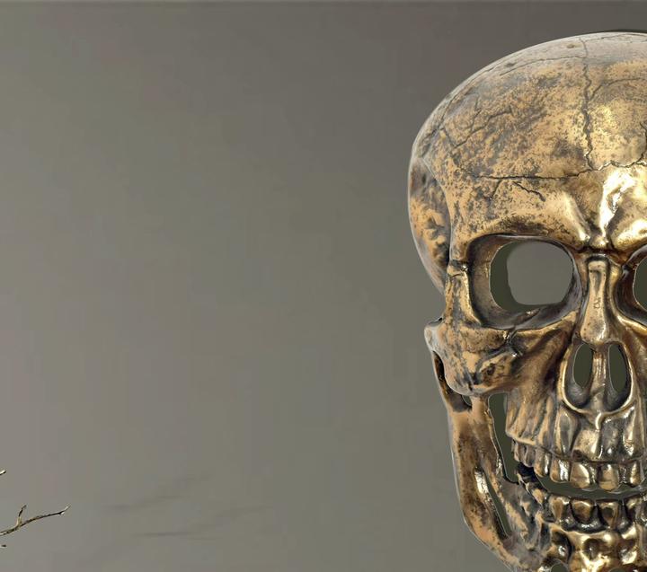 Image du produit FineBuy Wanddeko Totenkopf 41 cm Aluminium Schädel Wohndeko Dekoration Modern