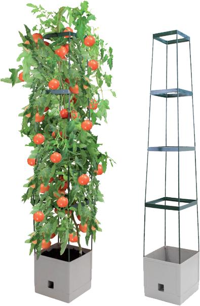 Bio Green Tomaten-Pflanzturm Maxitom (25 cm, 25 cm)