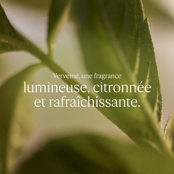 Immagine prodotto L'Occitane Verveine (Eau de toilette, 100 ml)