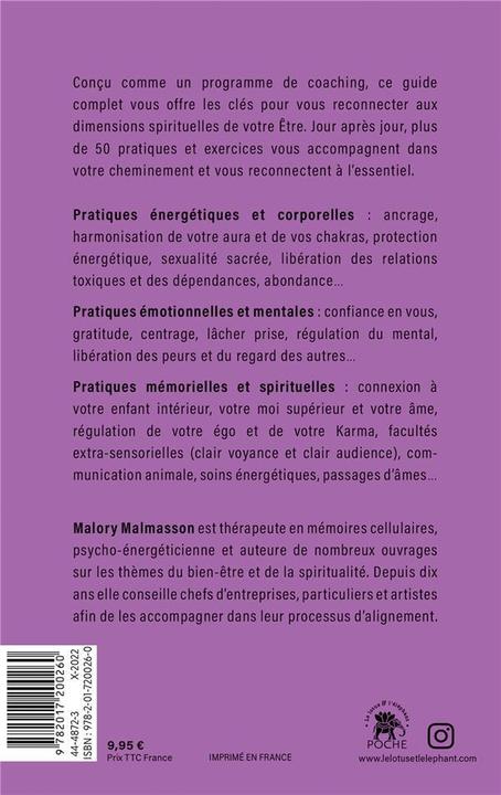 Immagine prodotto Soul dating : rendez-vous avec votre âme (Francese, Malmasson Malory, 2022)