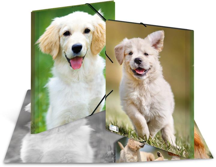 Actual product image HERMA A3 motif folder (A3, 1 x)