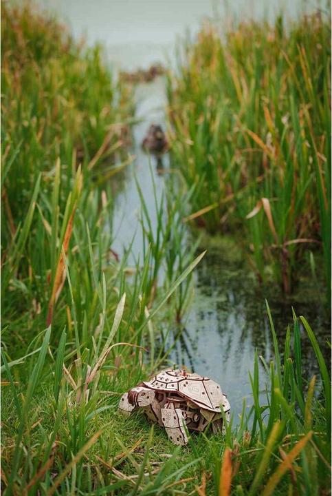 Image du produit Eco Wood Art Tortue - Kit de construction en bois 3D