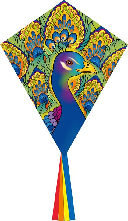 Invento Drachen Eddy Peacock 70x45 cm, ab 5 Jahren, inkl. Griff mit 25 m Schnur