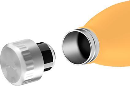 Image du produit FLSK Gourde (0.50 l)