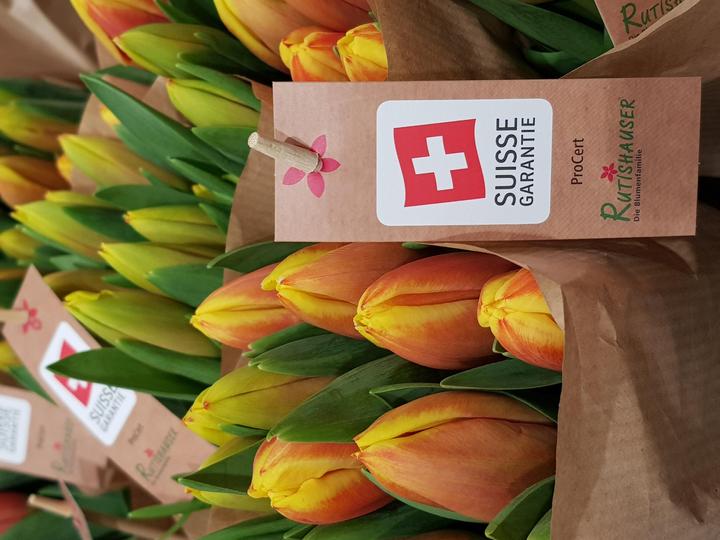 Image du produit Rutishauser Blumen Tulipes (Fleurs coupées)