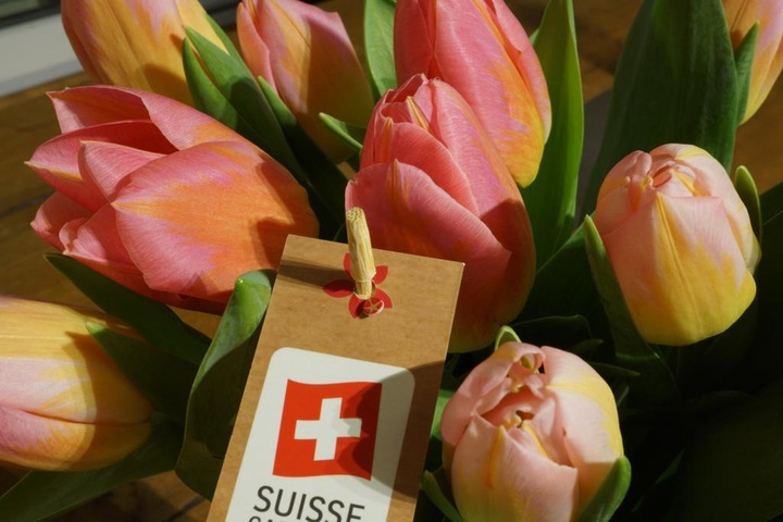 Immagine prodotto Rutishauser Blumen Miscela di tulipani (Fiori recisi)