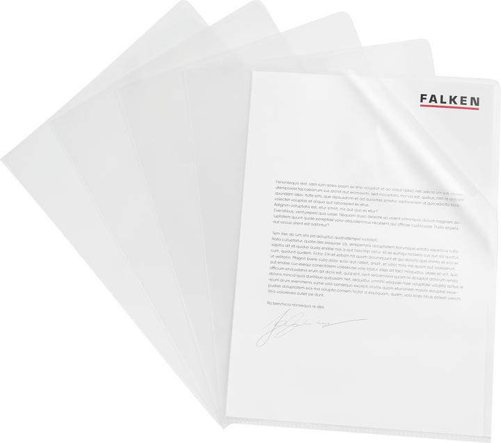 Actual product image Falken Economy file cover (A4, 100 x)