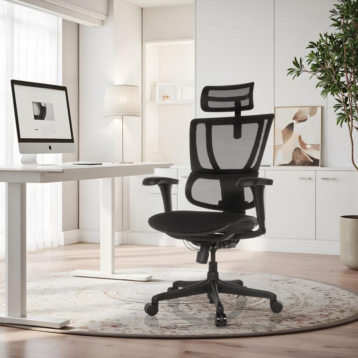 Produktbild Hjh Office Ergohuman Slim Eco F Gen2 (49 - 59 cm)