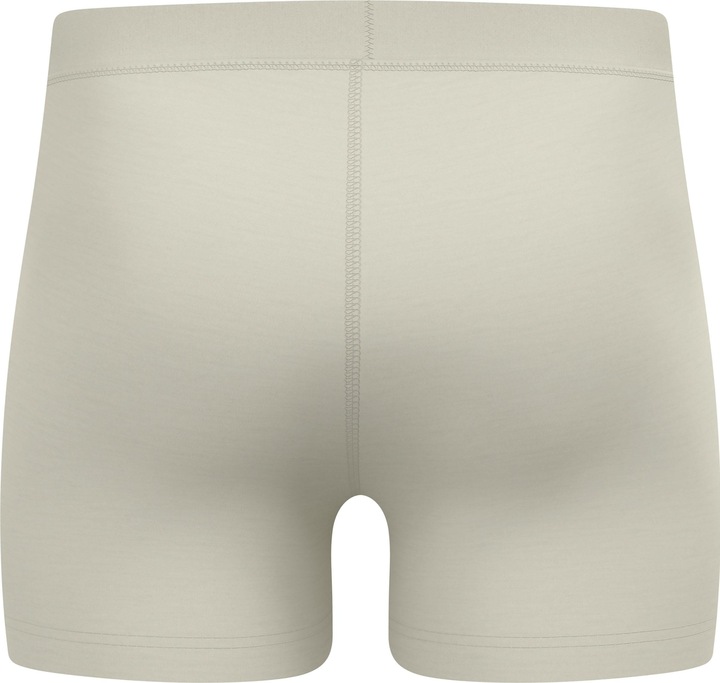 Image du produit Odlo Merino 160 (L)