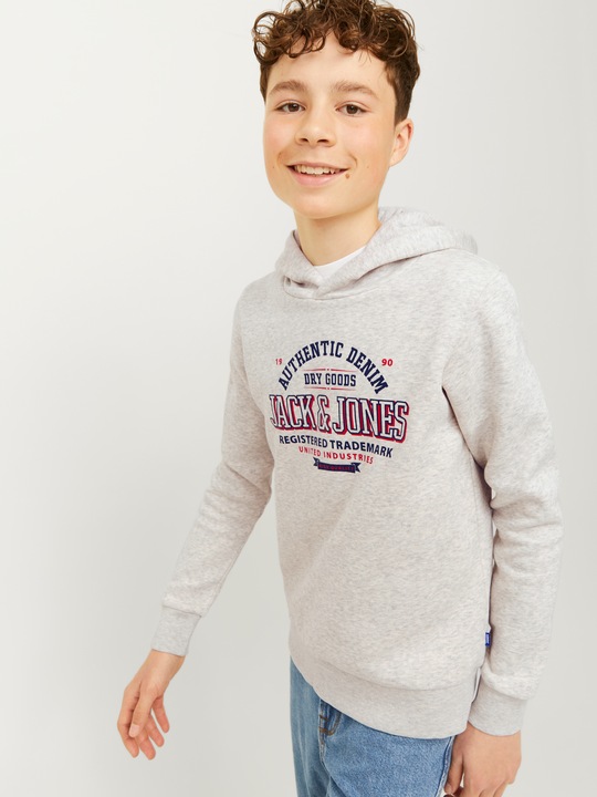 Immagine prodotto Jack & Jones JJELOGO SWEAT HOOD 2 COL 24/25 NOOS JNR (128)