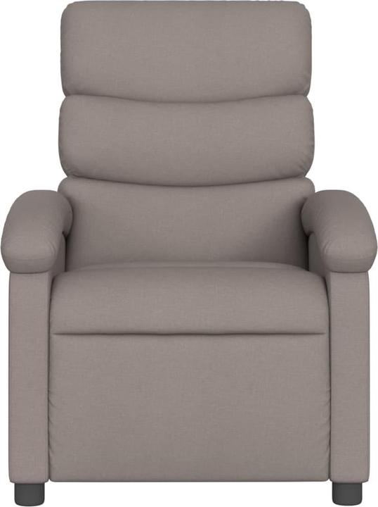 Actual product image VidaXL Gris