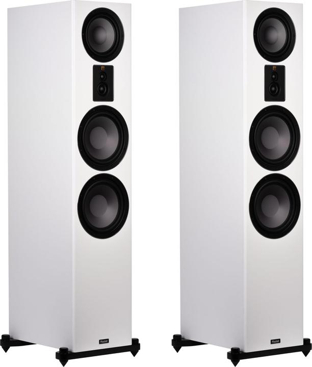 Image du produit Magnat Signature 809 (1 paire)