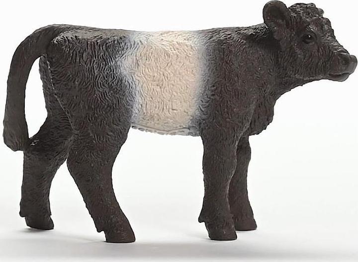 Image du produit Schleich Veau Galloway