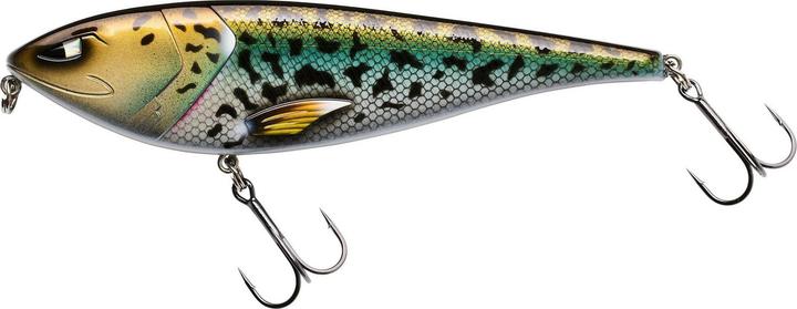 Actual product image Berkley Zilla Gift Box