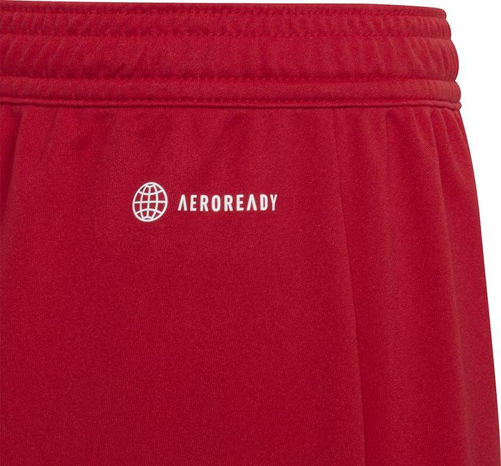 Actual product image adidas Entrada 22 Shorts (140)
