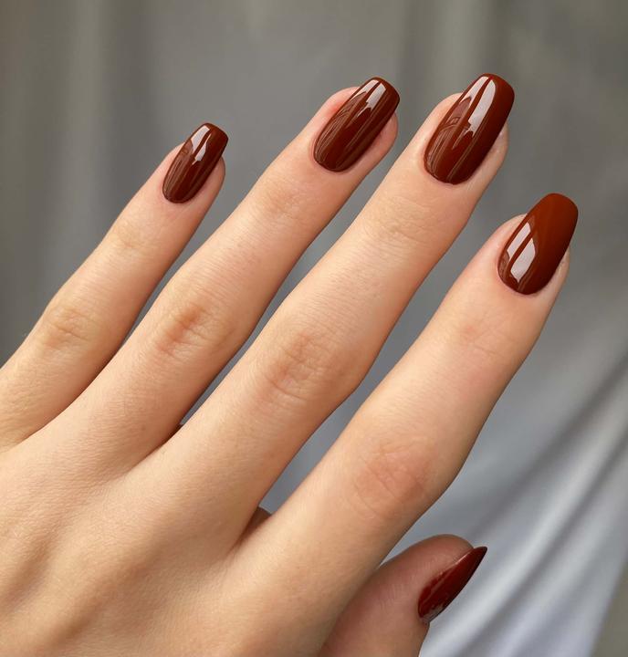 Immagine prodotto Alix Avien NP12 (Brown, Smalto)