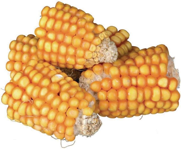 Actual product image Trixie Corn on the cob (0.30 kg, 1 x)