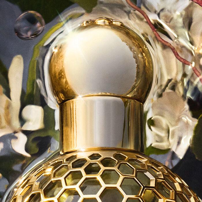 Produktbild Guerlain Aqua Allegoria Forte Nerolia Vetiver (Eau de Parfum, 75 ml)