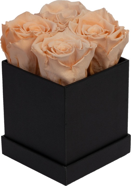 apricot (black box)
