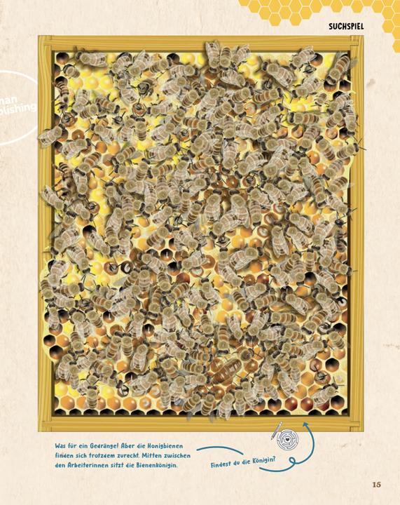 Produktbild Bienen (Deutsch, Dr. Johanna Prinz, Johanna Prinz, 2024)