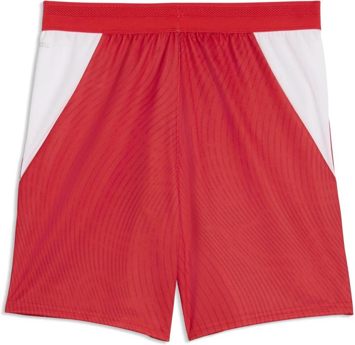 Puma SFV Shorts Replica Jr