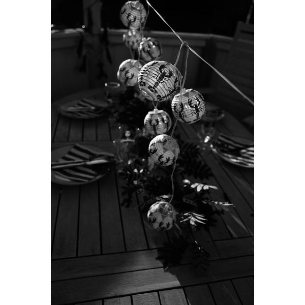 Produktbild Star Trading Lichterkette Crayfish Party Batteriebetrieben (1.40 m)