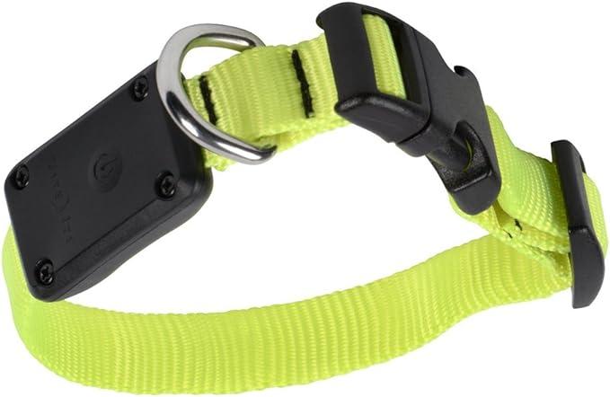 Nite Ize Collier pour chien NiteDawg LED jaune xs (XS, Chien)