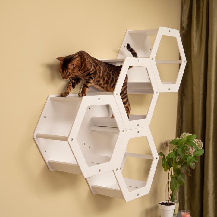 Produktbild Wowhelperco 4 Waben (Weiss)