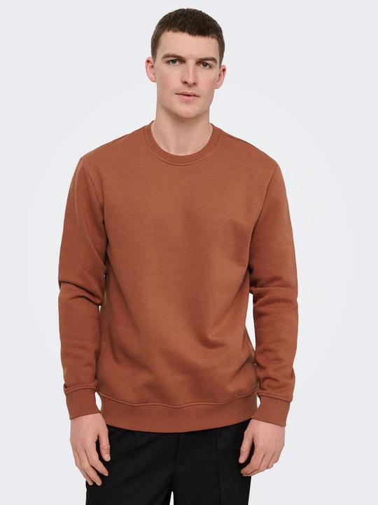 Produktbild Only & Sons Onsconnor Life Reg Crew Neck Sweat Noos (M)