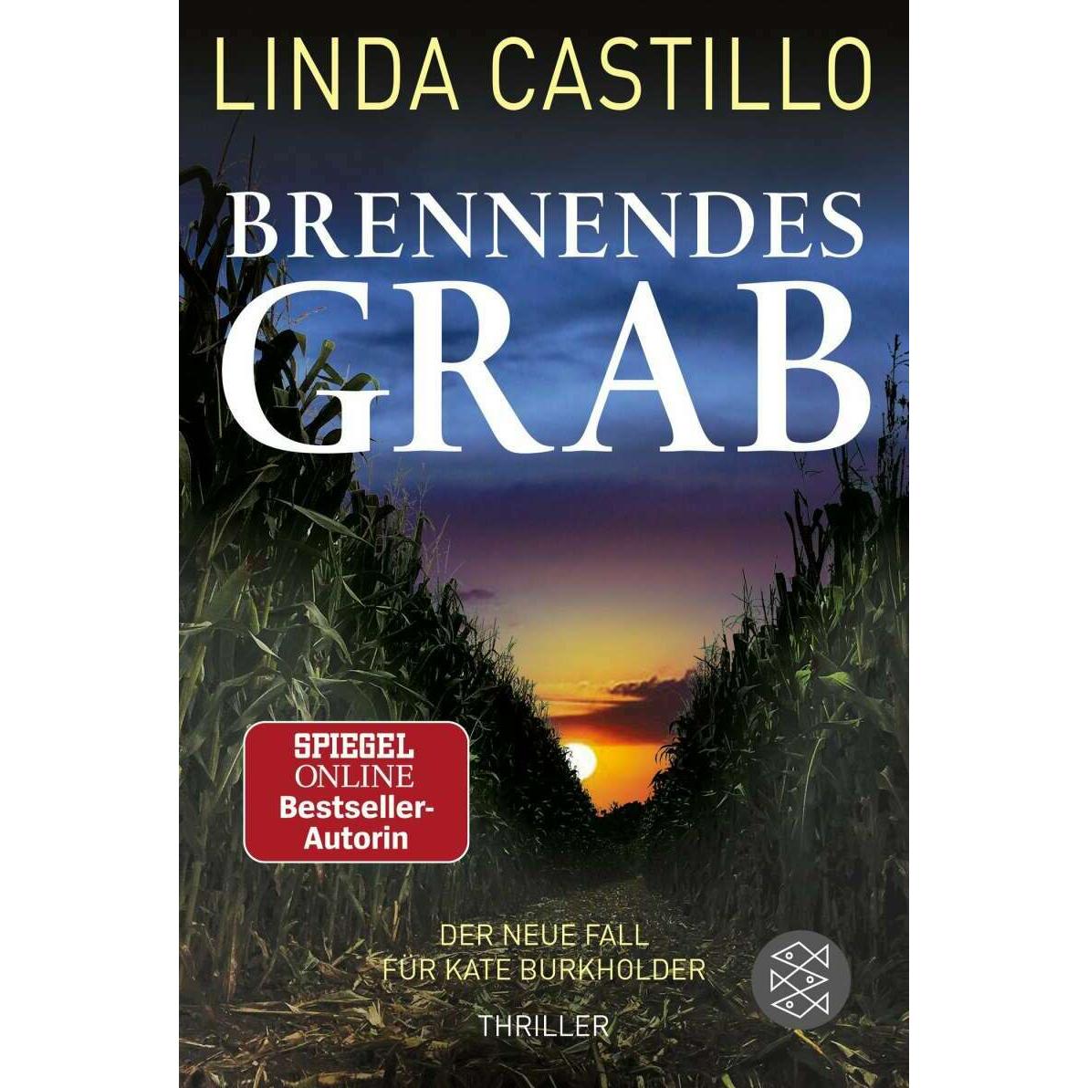 Brennendes Grab, Belletristik von Linda Castillo
