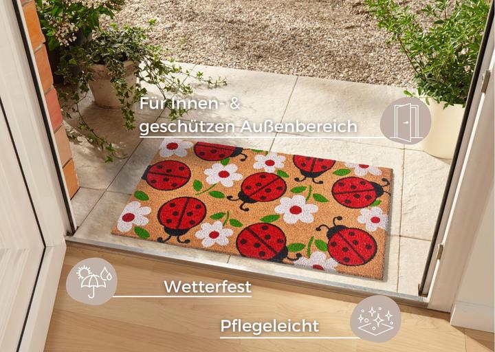 Immagine prodotto Hanse Home Lady Beetle (75 x 45 cm)