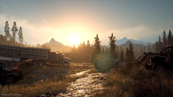 Actual product image Sony Days Gone (PS4, DE)