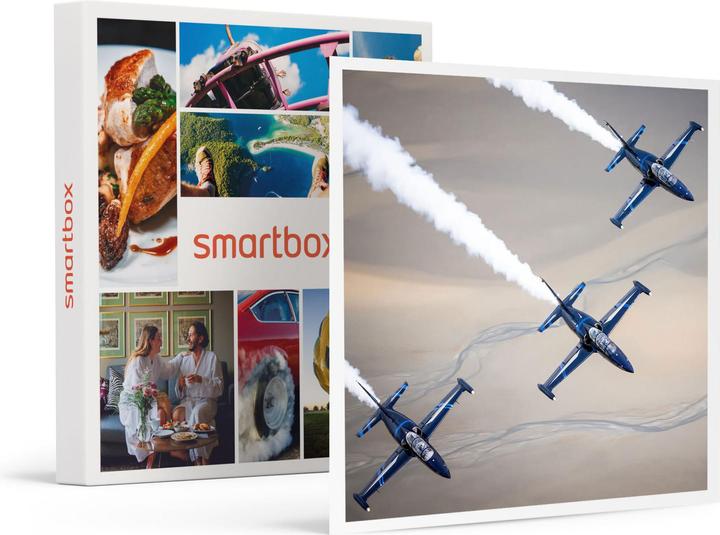 Produktbild Smartbox Flug in einem L-39 Albatros Kampfjet über die Schweizer Alpen (1 Pers.)