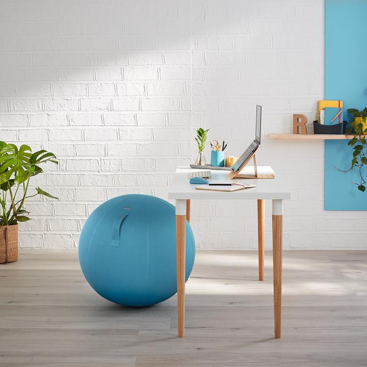 Actual product image Leitz Ergo Cosy Active sitting ball (65 cm)