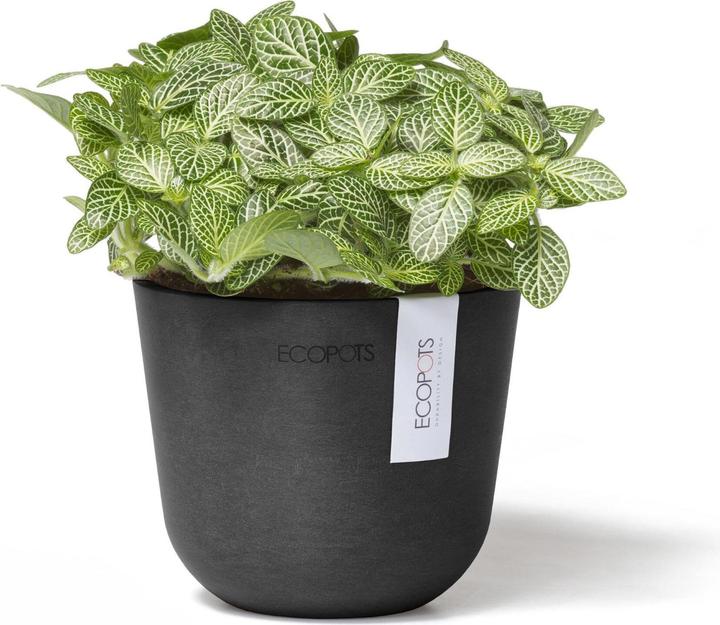 Immagine prodotto Ecopots Oslo Mini (11.50 cm)
