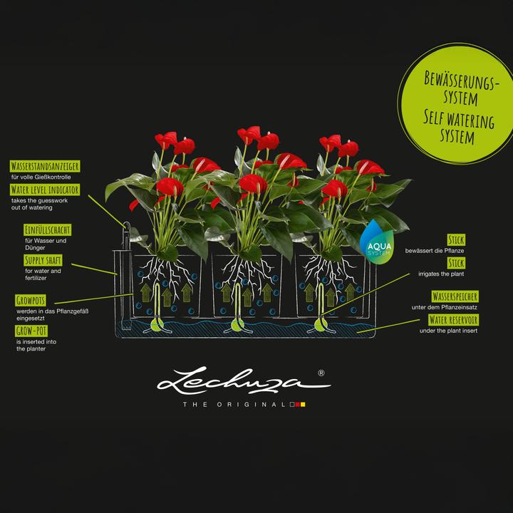 Produktbild Lechuza Cube Glossy Triple (40 x 14 x 14 cm)