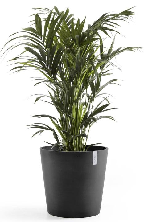 Immagine prodotto Ecopots Amsterdam + Wasserbehälter (50 cm)