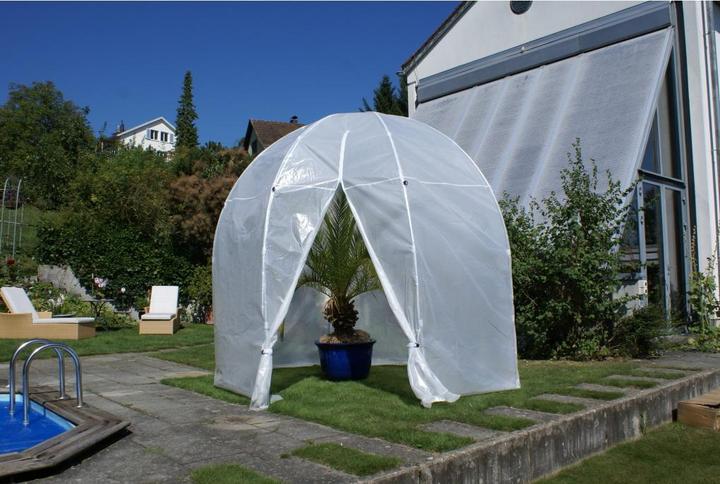 Image du produit Colibri Premium Palm House XL