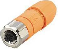 Actual product image ifm Electronic Socket