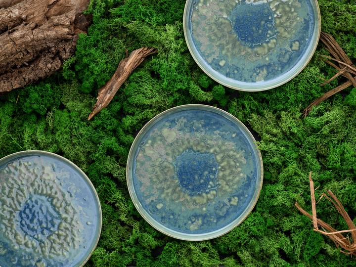 Actual product image CreaTable Yuki (8 pcs.)