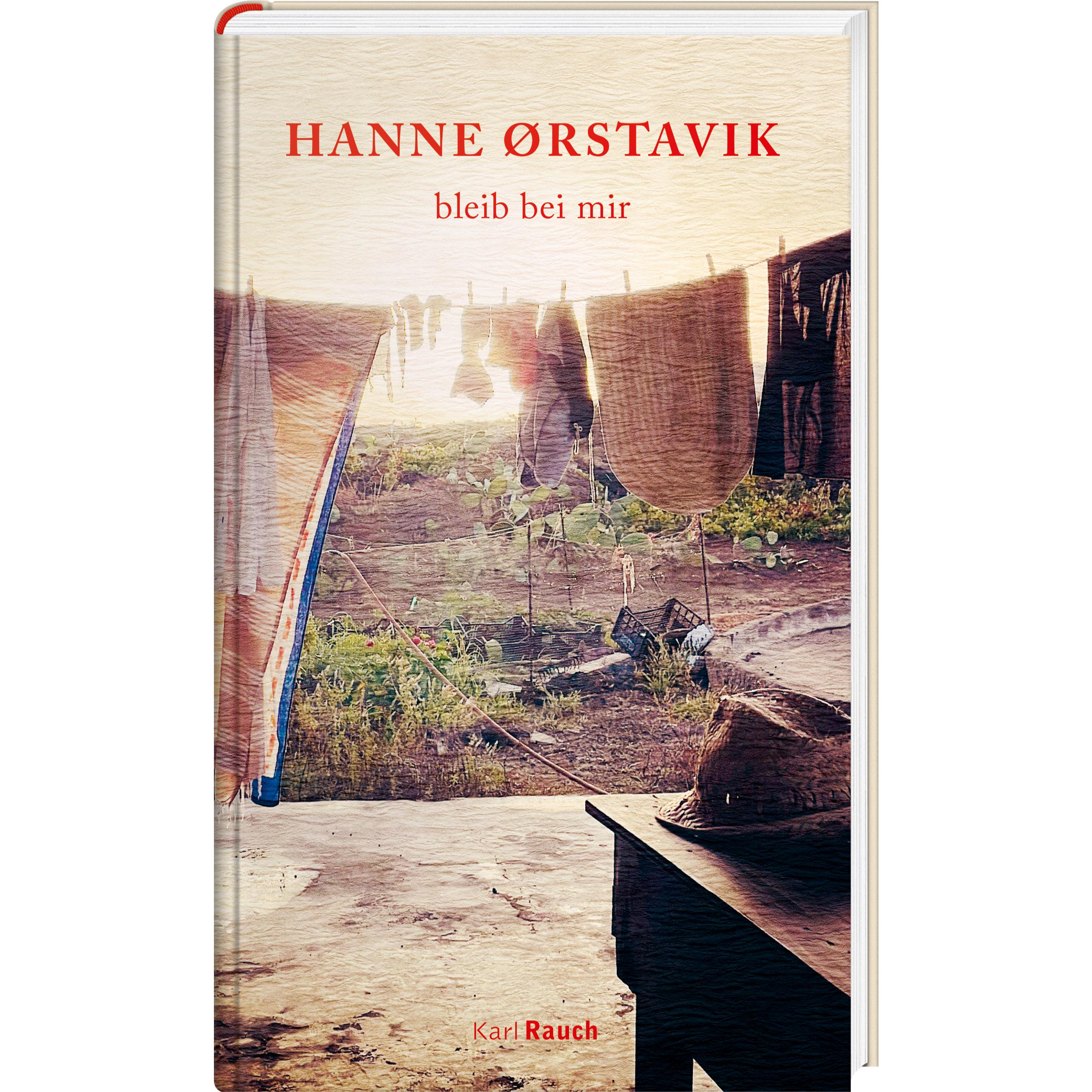 bleib bei mir, Belletristik von Hanne Oerstavik