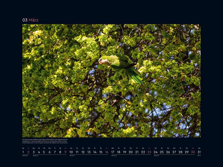 Produktbild Getarnt - Wandkalender 2025 (Harter Einband, Deutsch)