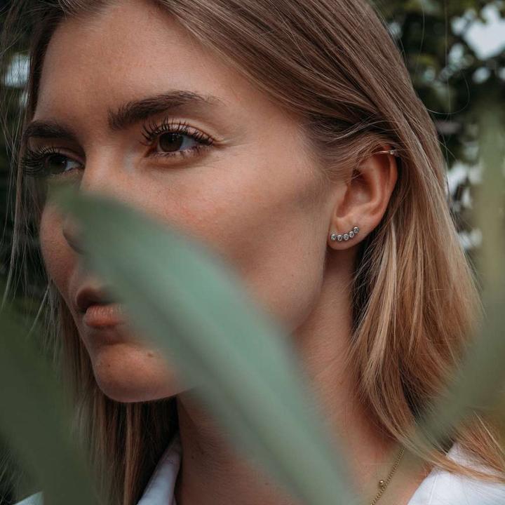 Actual product image Bijouteria Earrings (Stainless steel, Crystal)