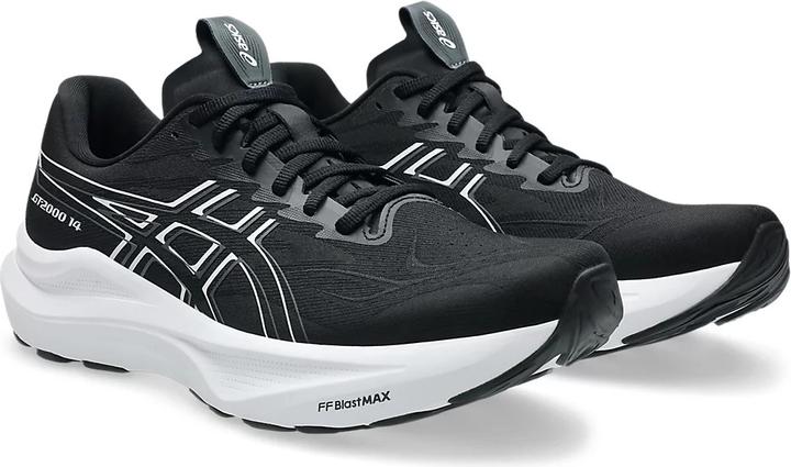Actual product image ASICS Performance GT-2000 14 (42.5)